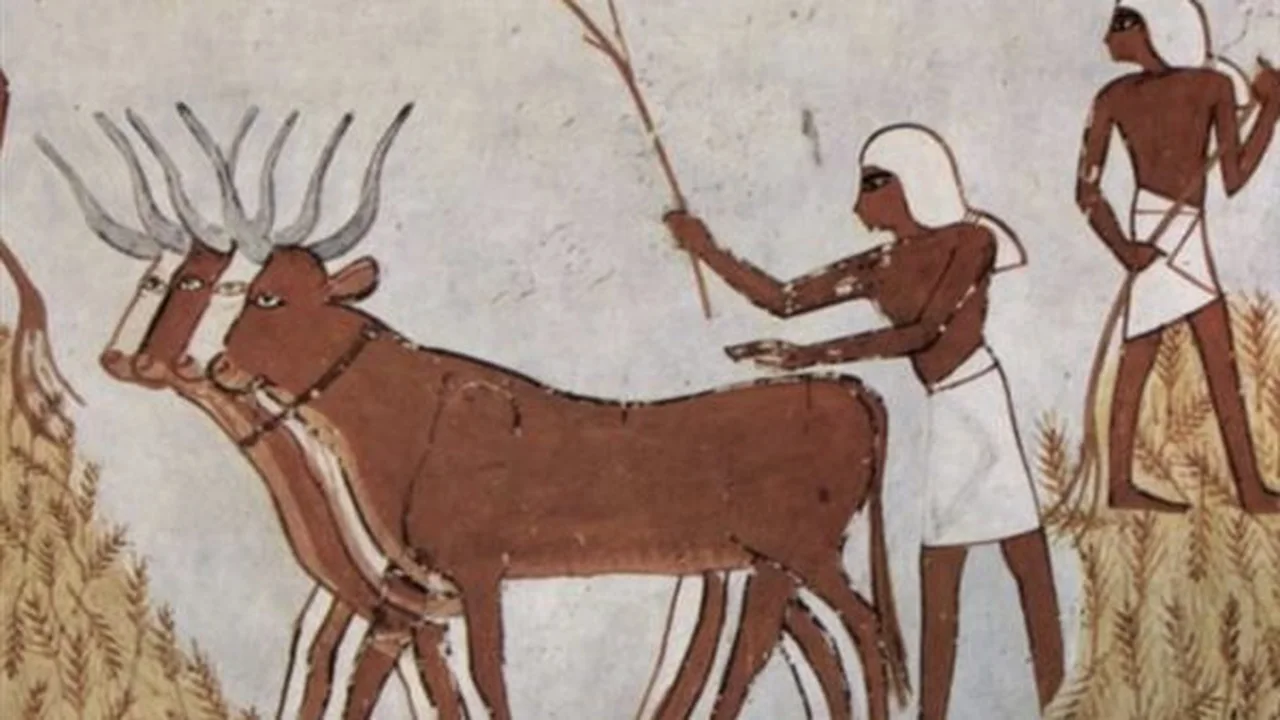 شهر كيهك والزراعة في مصر القديمة: كيف ضمنت وفرة المحاصيل وبركة الأرض